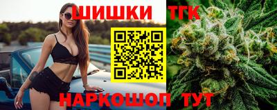 индика Обь