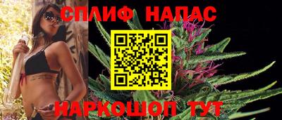 индика Обь