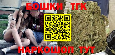 индика Обь
