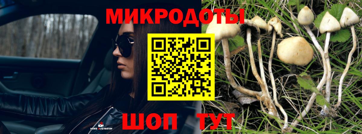 Галлюциногенные грибы Cubensis Стрежевой
